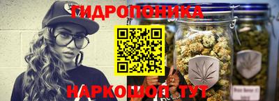 стафф Краснокаменск