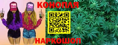прущие грибы Краснознаменск