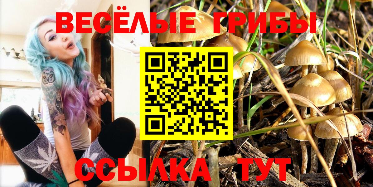Кубинка  Галлюциногенные грибы мицелий  Вход с VPN 