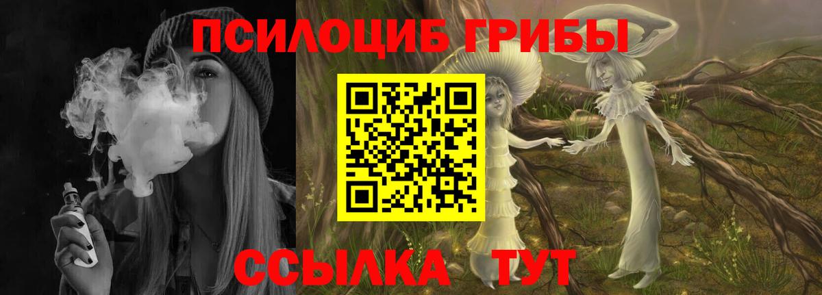 Галлюциногенные грибы Psilocybine cubensis Кубинка